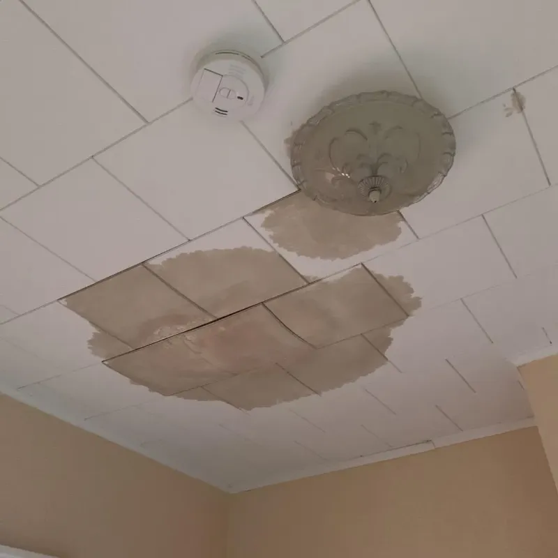 Ceiling Water Damage Repair in Shelburne, MA